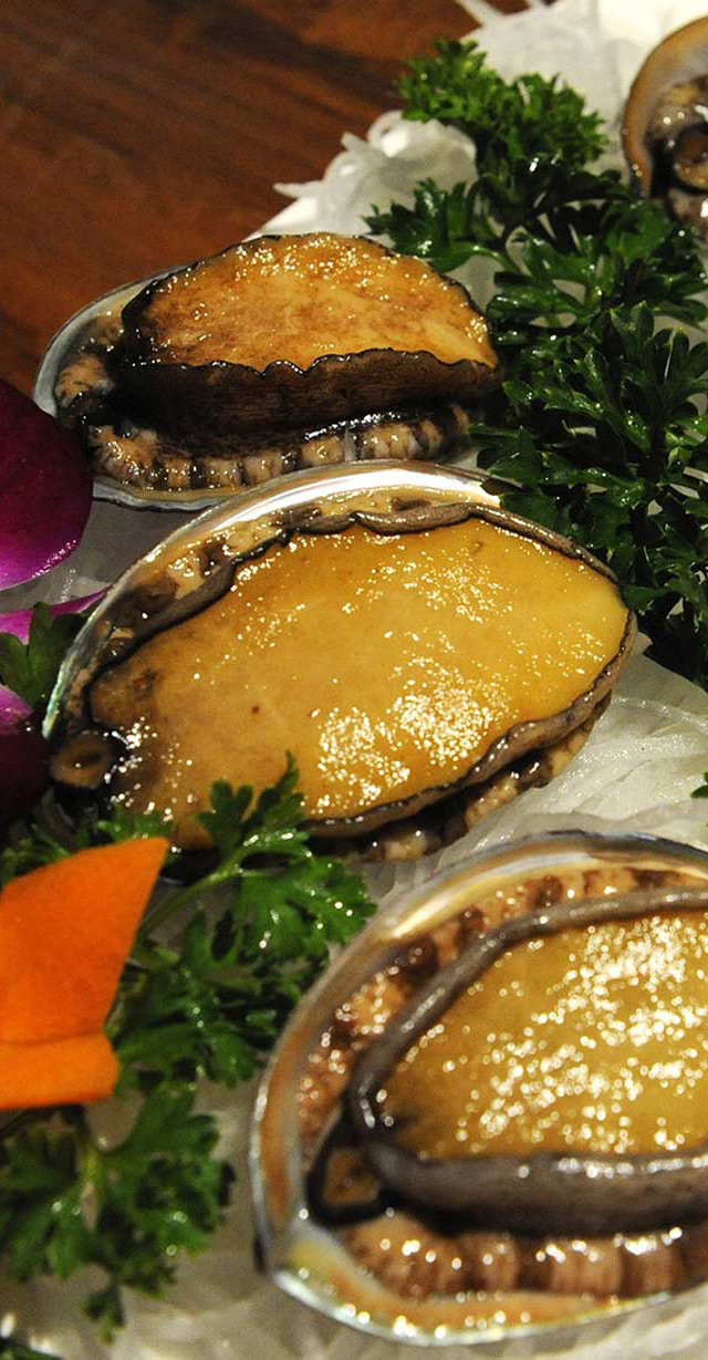 SADO Sea Farm